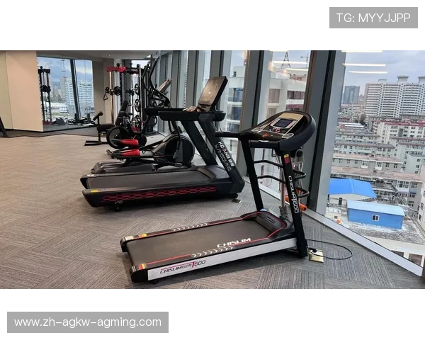 健身器材公司品牌大全及其产品类型介绍 健身器材公司品牌大全及其产品类型介绍