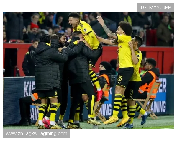 那些年德甲球队的高光与低谷时刻